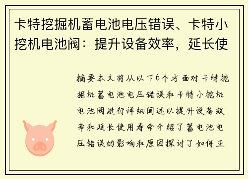 卡特挖掘机蓄电池电压错误、卡特小挖机电池阀：提升设备效率，延长使用寿命